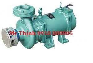 may-bom-chim-truc-ngang-lubi-lhs-152-1-0hp-1ph-230vac